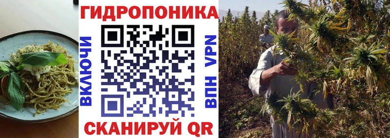Печенье с ТГК марихуана  hydra ссылка  Новочебоксарск  что такое наркотик 