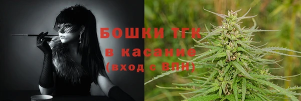 амф Михайловск