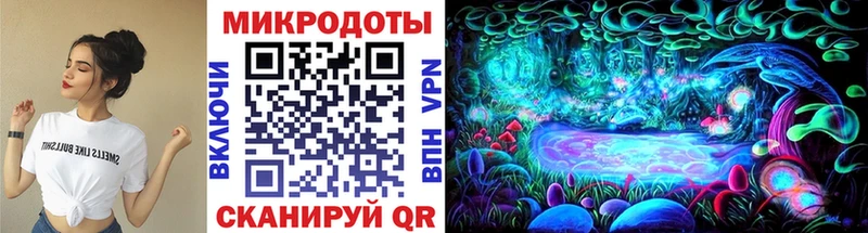Псилоцибиновые грибы GOLDEN TEACHER  купить наркотик  Новочебоксарск 